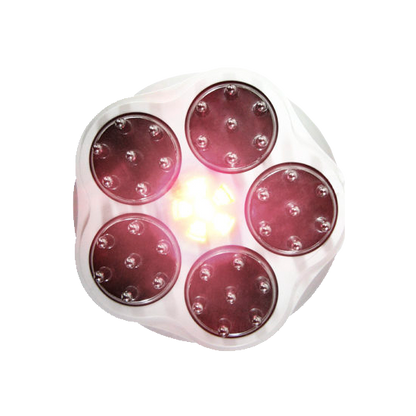 Tiens MULTIFUNKTIONALES MASSAGESYSTEM